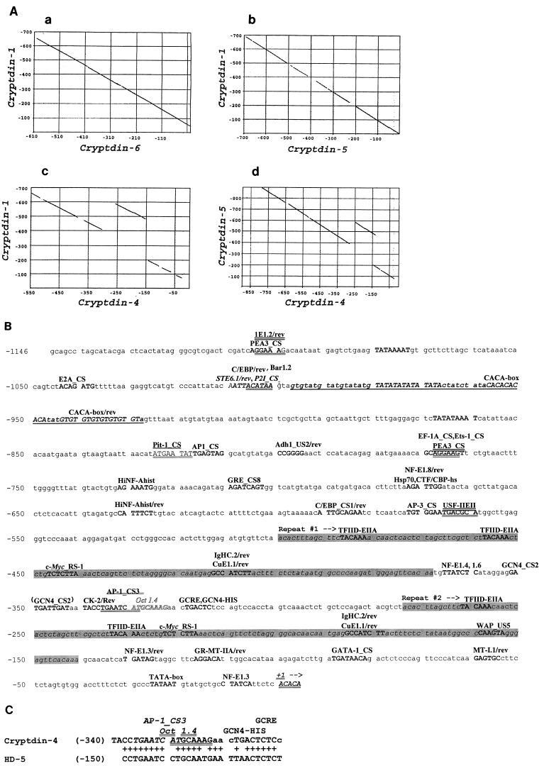 FIG. 5