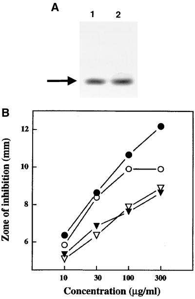 FIG. 1