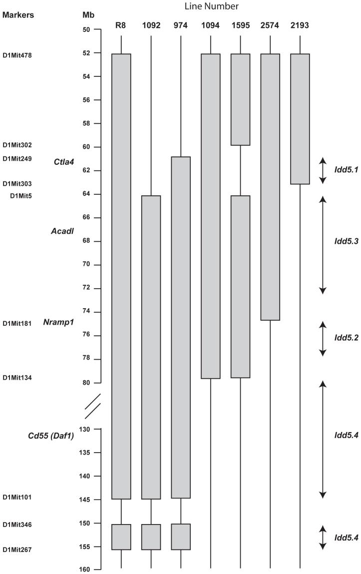 Figure three