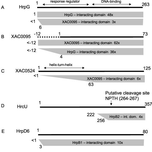 FIG. 2.