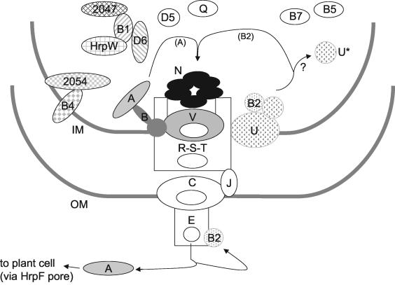 FIG. 5.