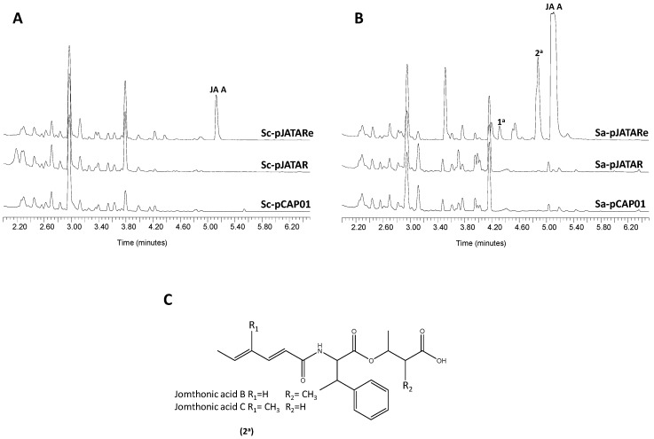 Figure 6