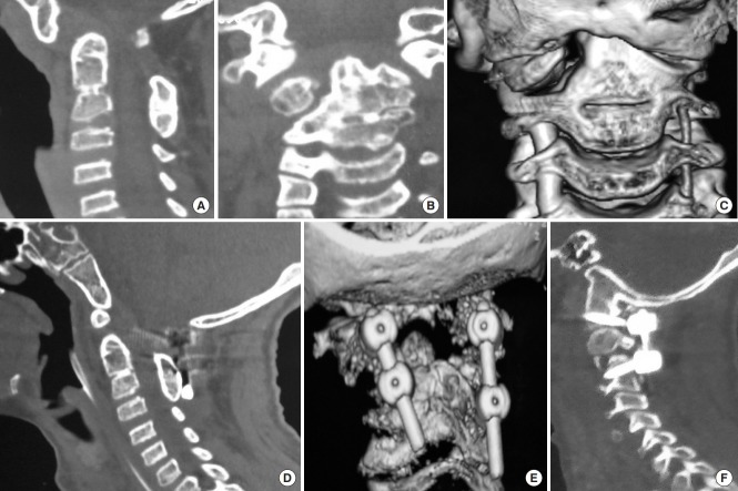 Fig. 6.