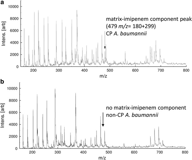 Fig. 1