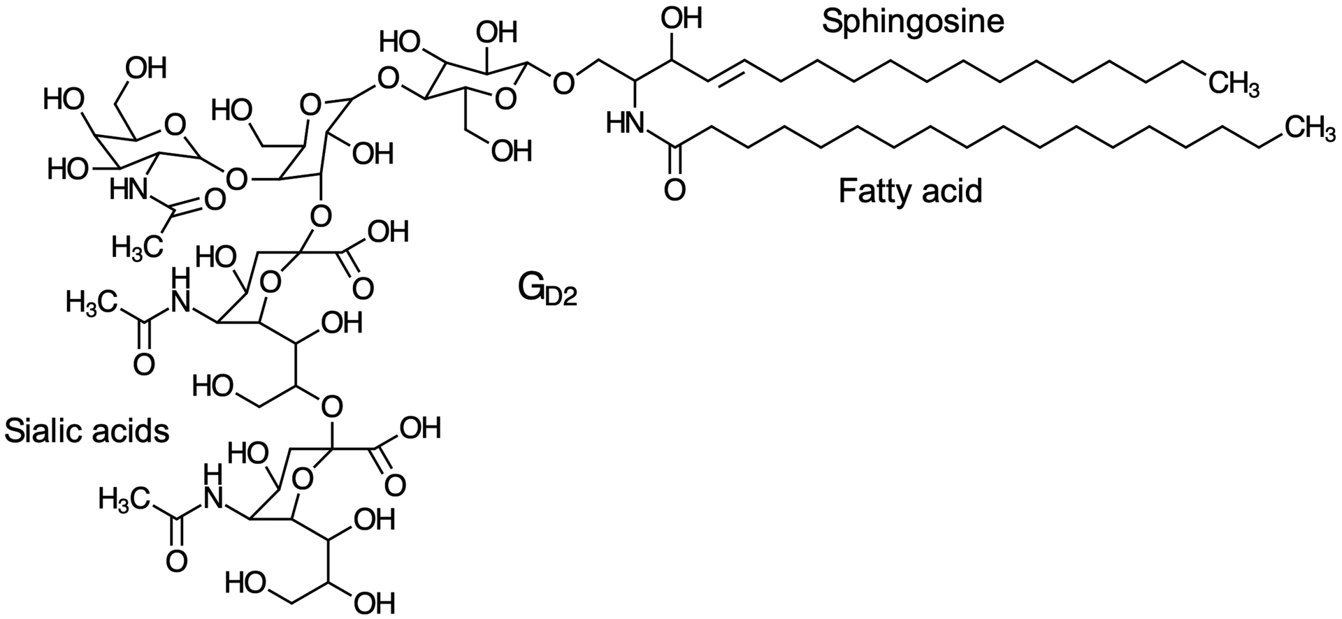 Fig 1.