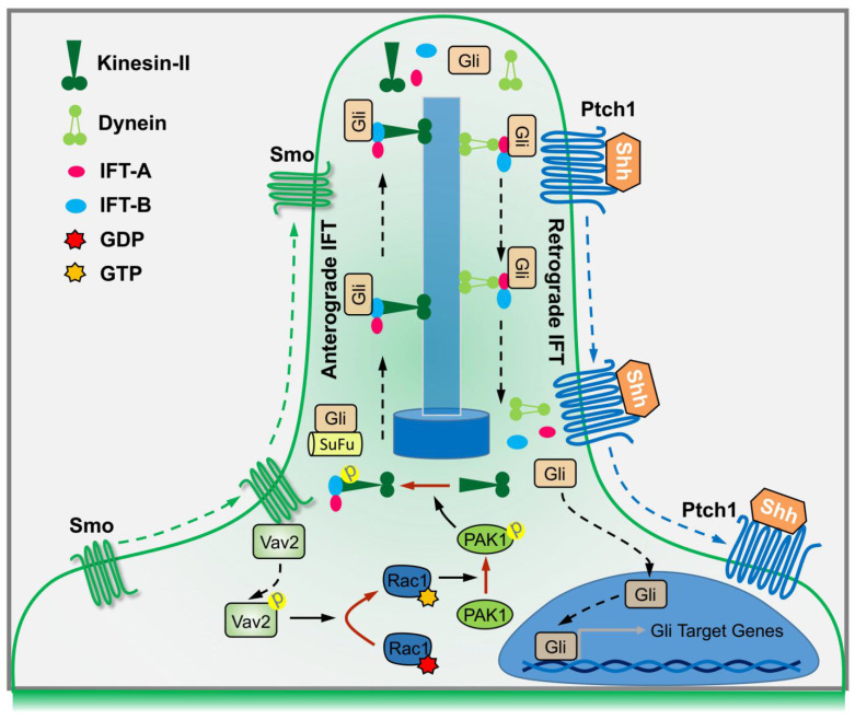 Figure 7