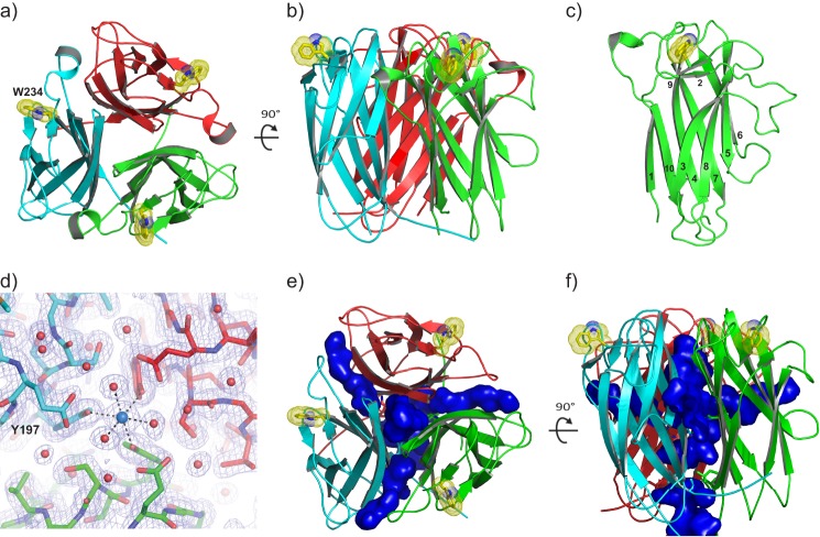 FIGURE 1.