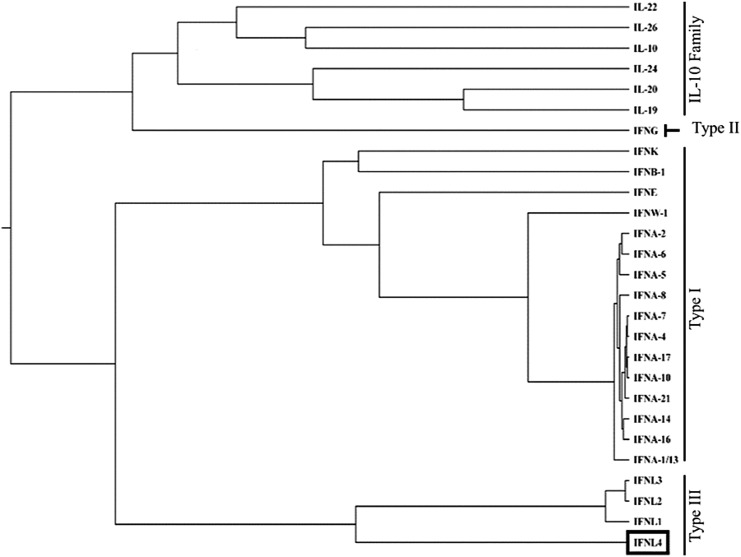 FIG. 1.