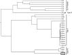 <b>FIG. 1.</b>