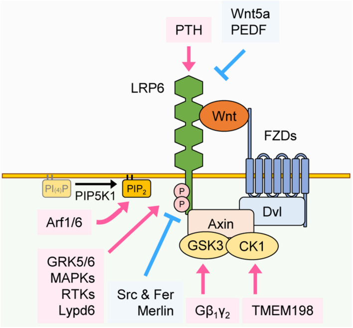 FIGURE 2