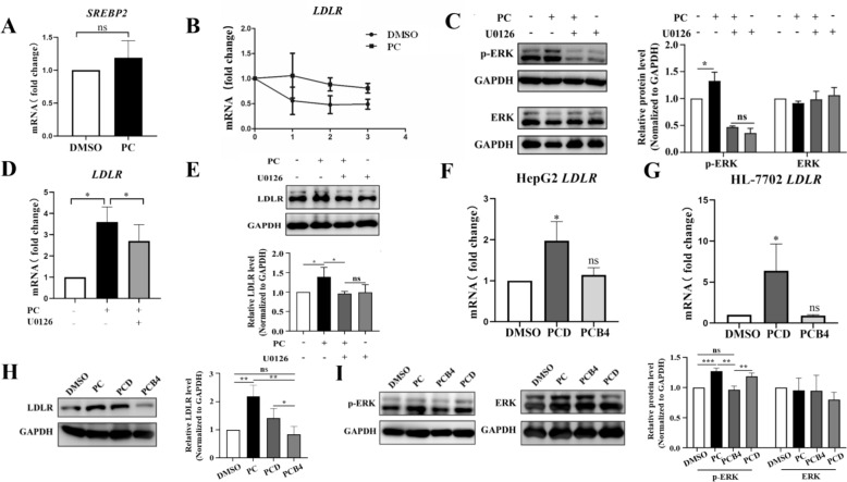 Fig. 6