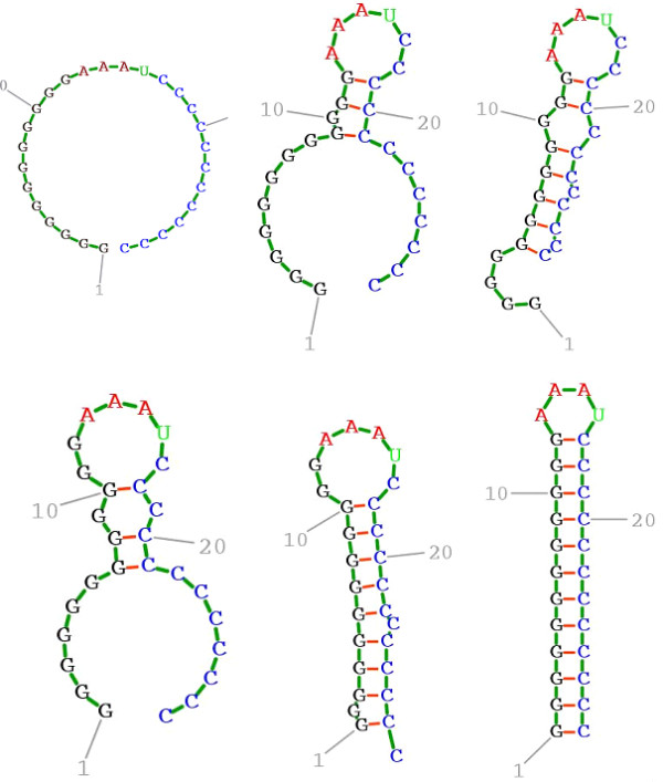 Figure 4 