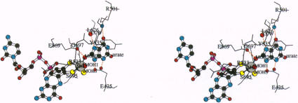 Fig. 6