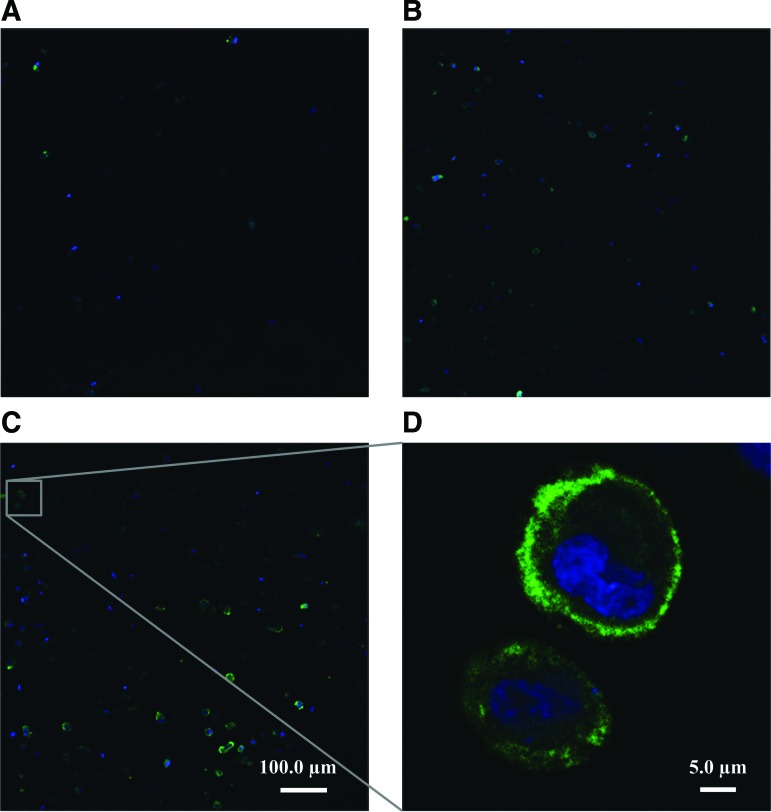 FIG. 7.