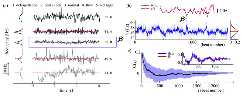 Fig. 3