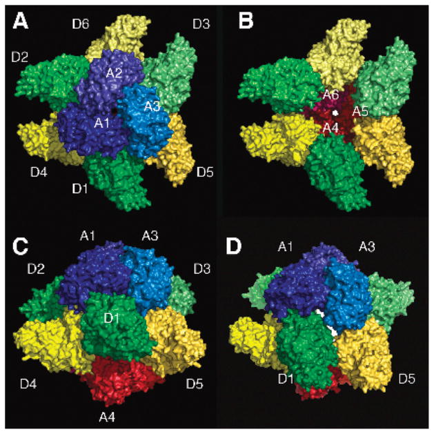 Figure 6