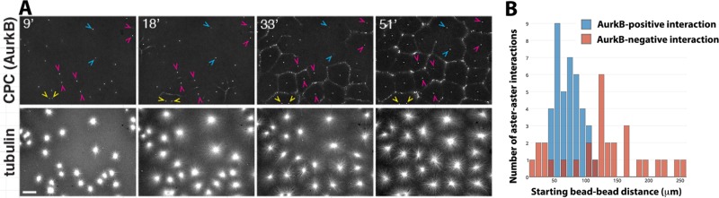 FIGURE 6: