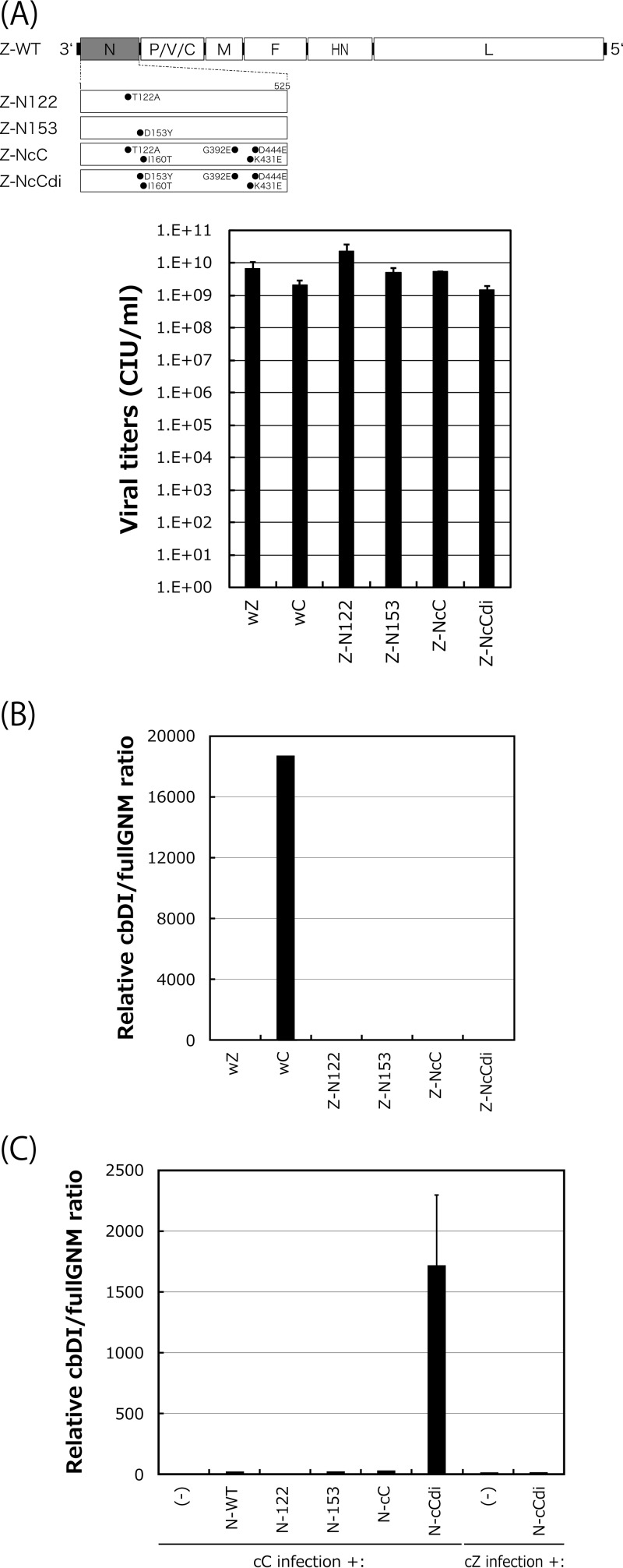 FIG 6