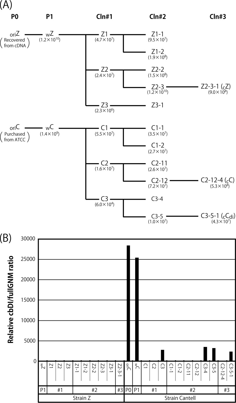 FIG 3