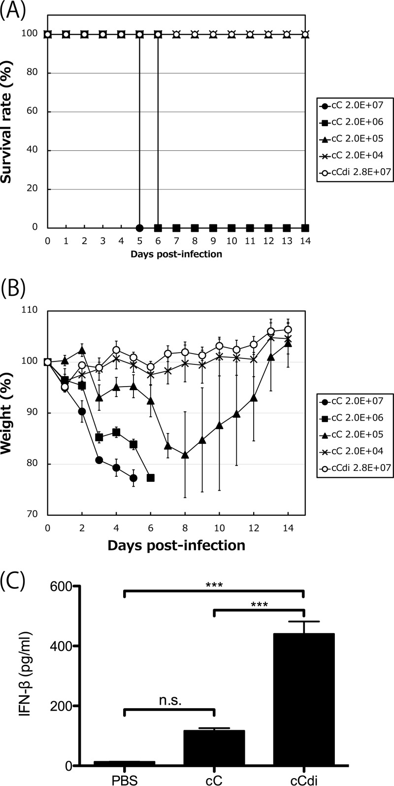 FIG 7