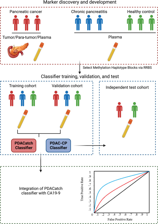 graphic file with name 12916_2022_2647_Figa_HTML.jpg