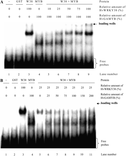 Figure 5.