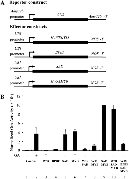 Figure 6.