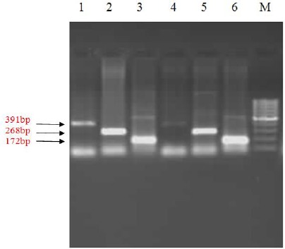 Fig. 2: