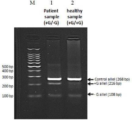 Fig. 5: