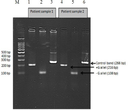 Fig. 4: