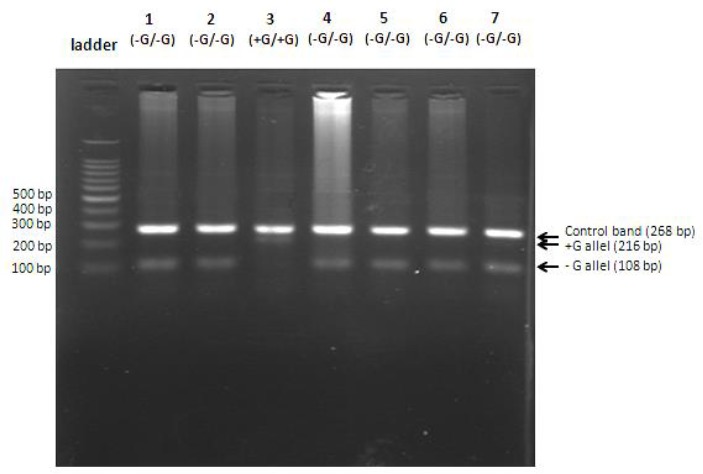 Fig. 6: