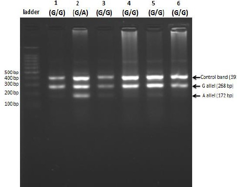 Fig. 3: