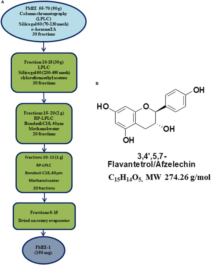 FIGURE 3