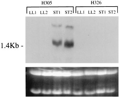 FIG. 5