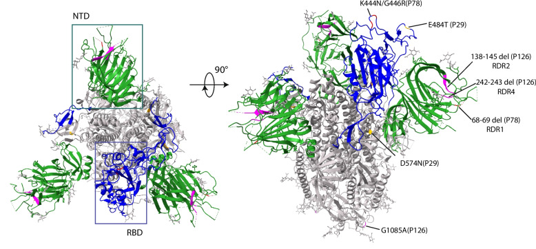 Fig. 4