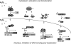 FIG. 6.