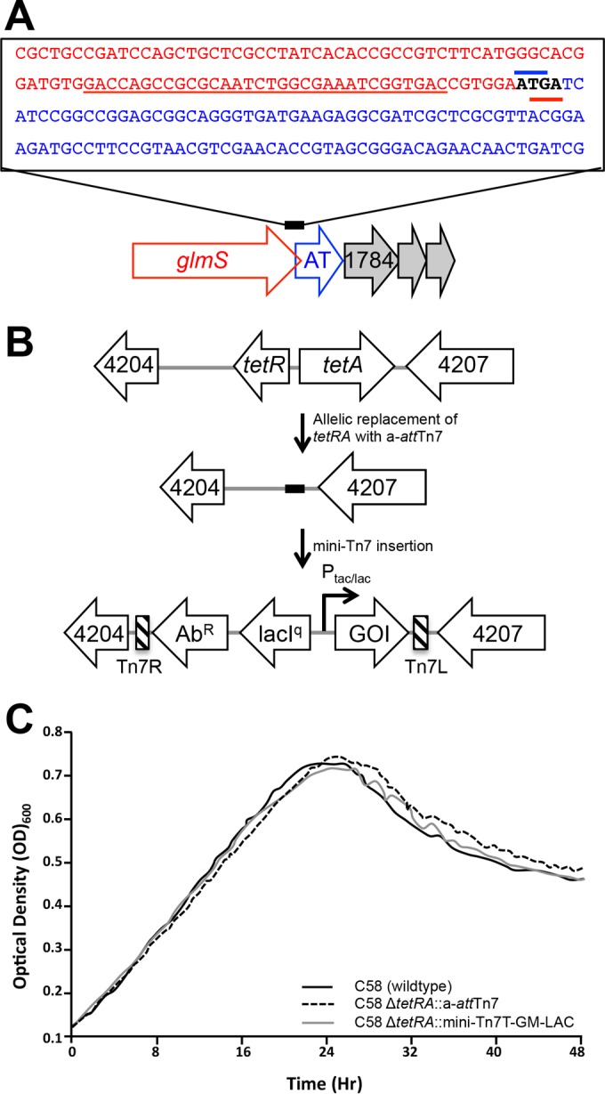 FIG 1