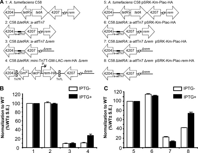 FIG 2