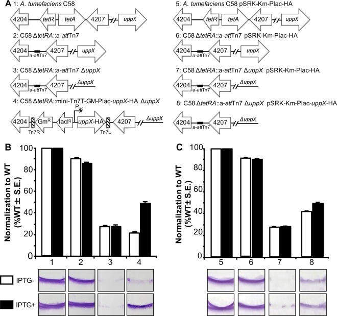 FIG 3