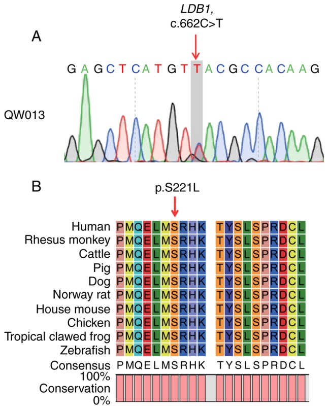 Figure 2.