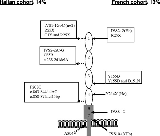 Fig. 4