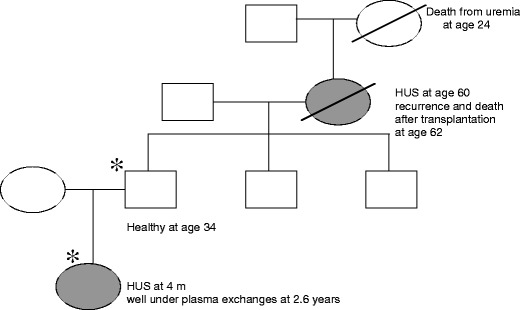 Fig. 6