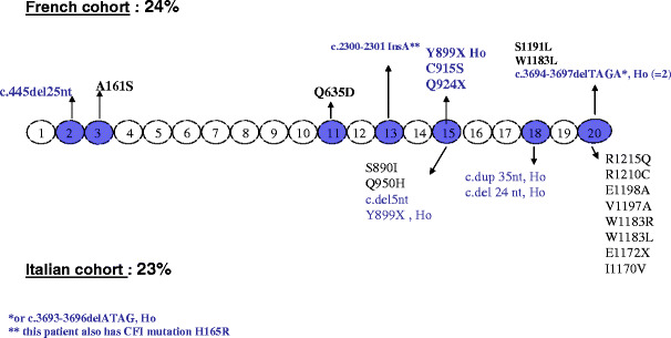 Fig. 2