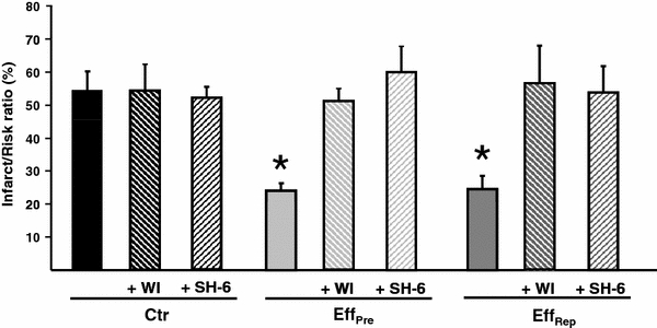 Fig. 5