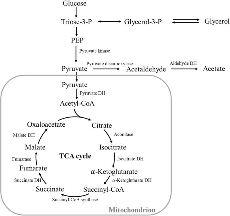 Fig. 2