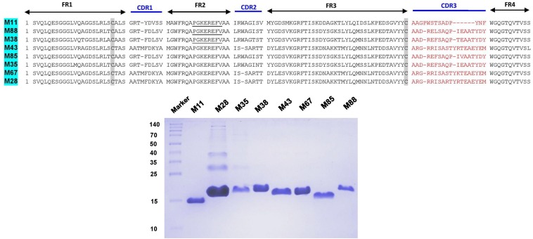 FIGURE 4