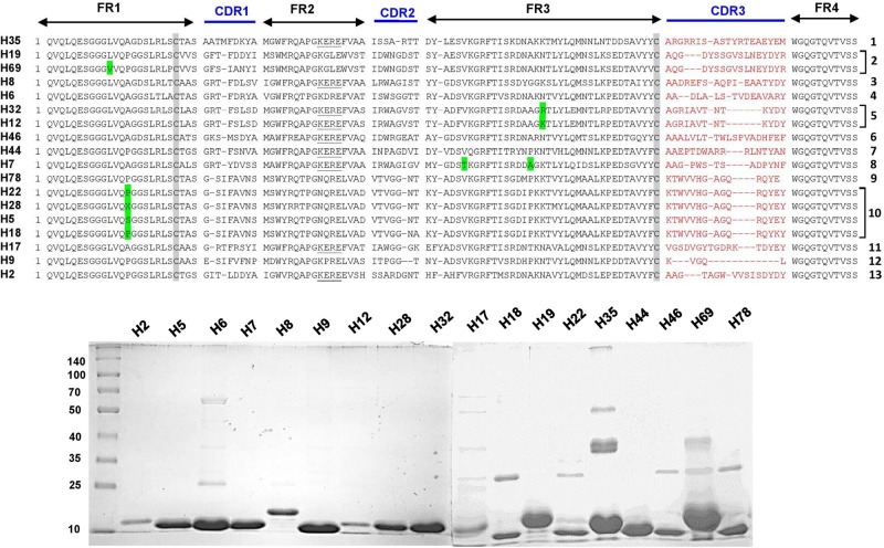 FIGURE 3