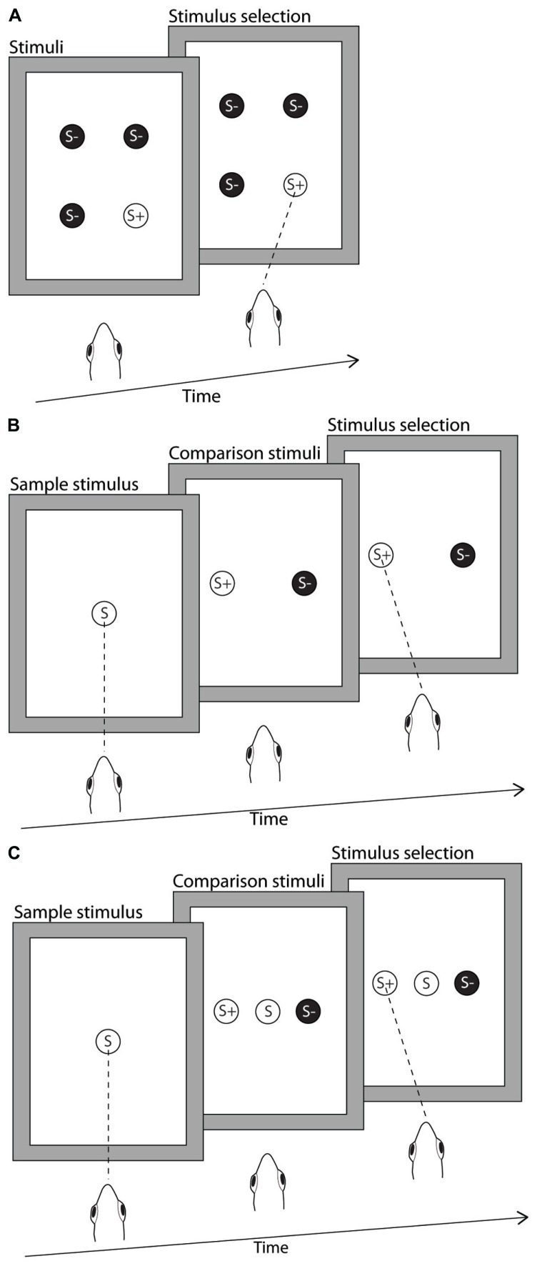 FIGURE 1