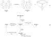 Scheme 5