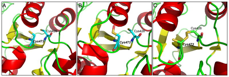 Fig. 17